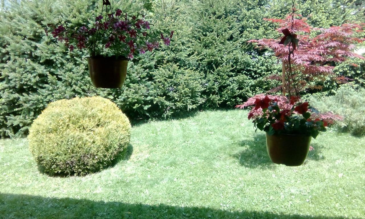 Apartmani Nais Zlatibor Esterno foto