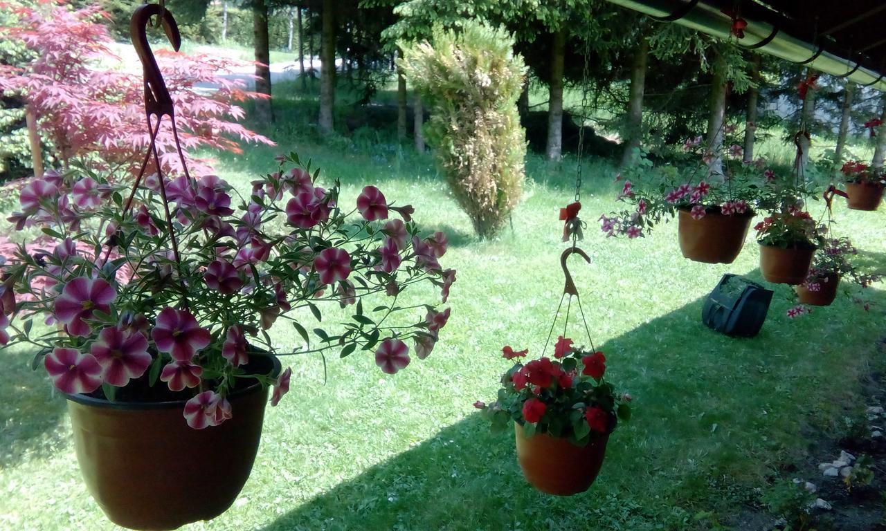 Apartmani Nais Zlatibor Esterno foto