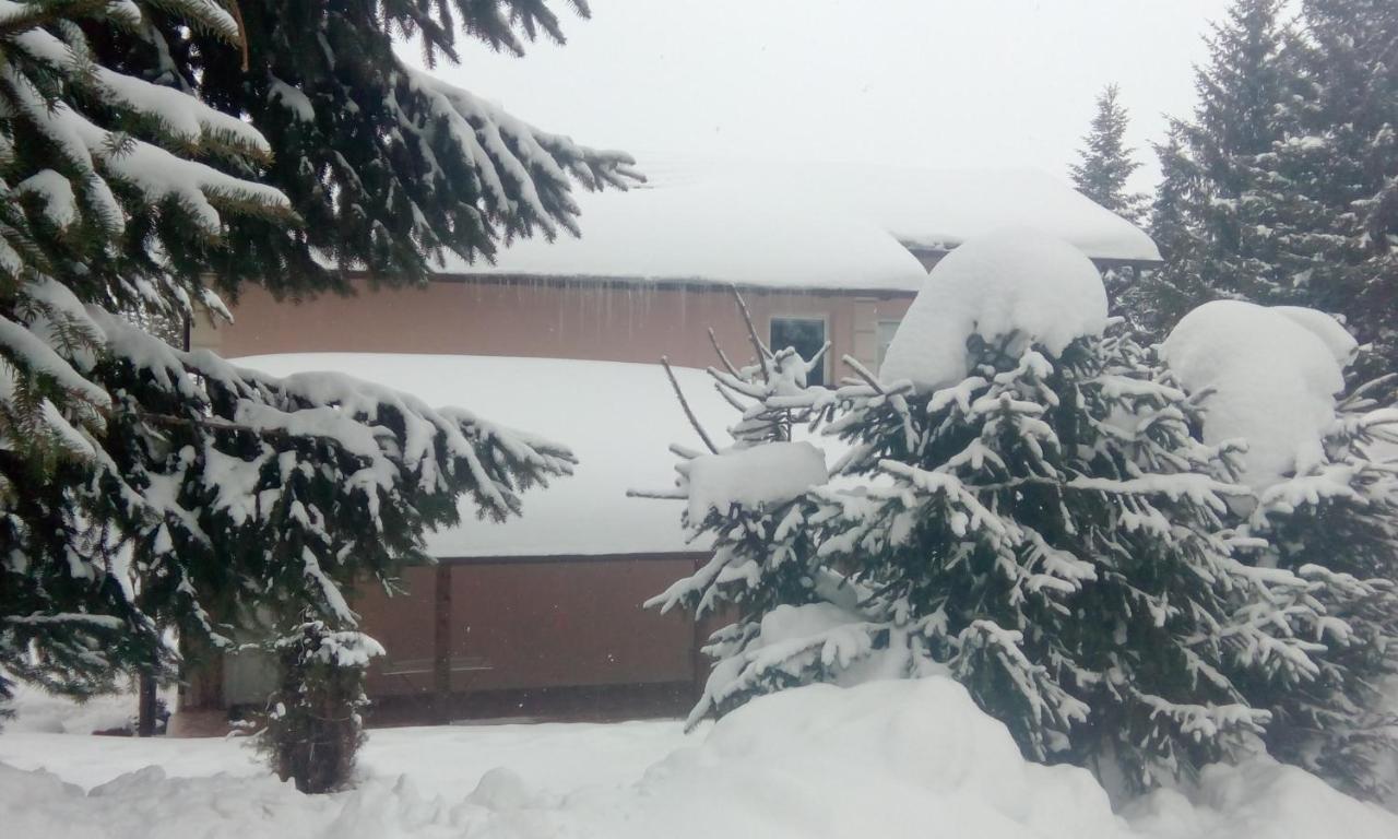 Apartmani Nais Zlatibor Esterno foto